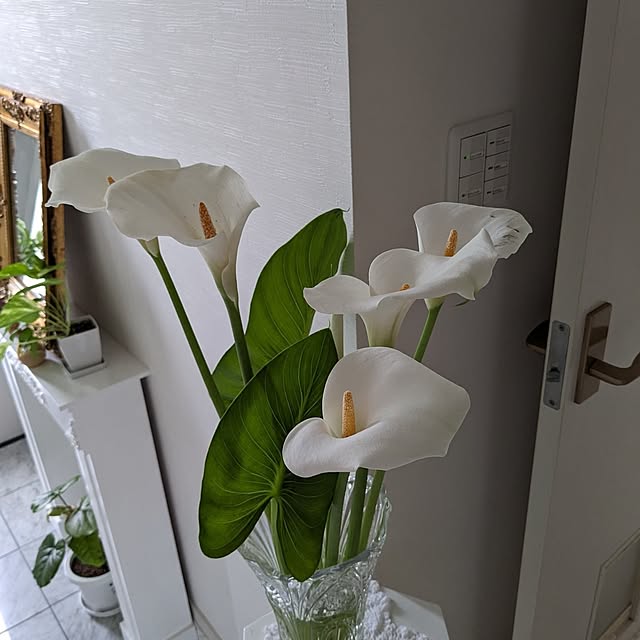 machikomamaさんの部屋