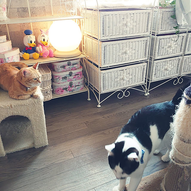asuminさんの実例写真