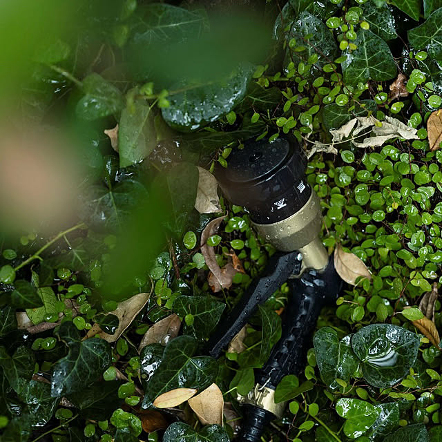 Royal_Gardeners_Clubさんの部屋