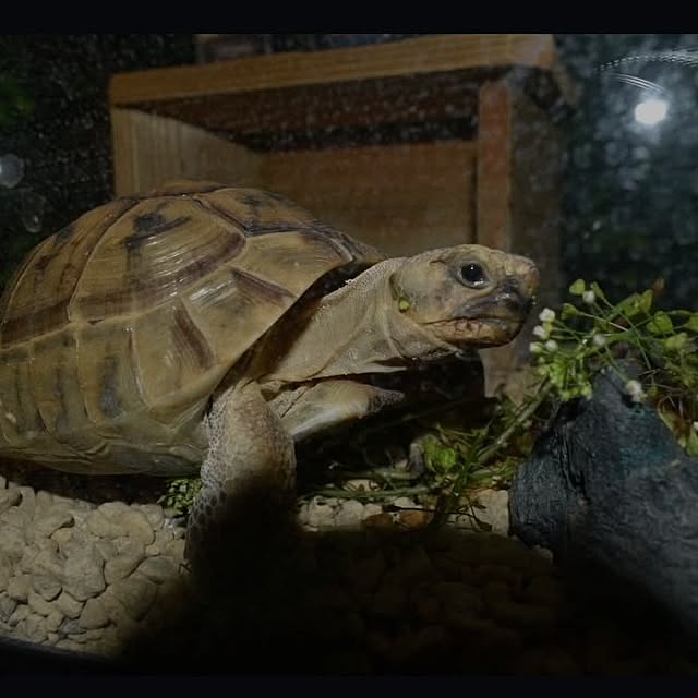 nikoさんの部屋