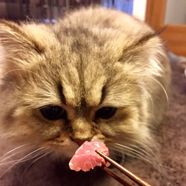 butachanさんの実例写真
