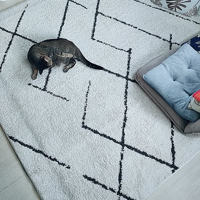 cocomintさんの実例写真