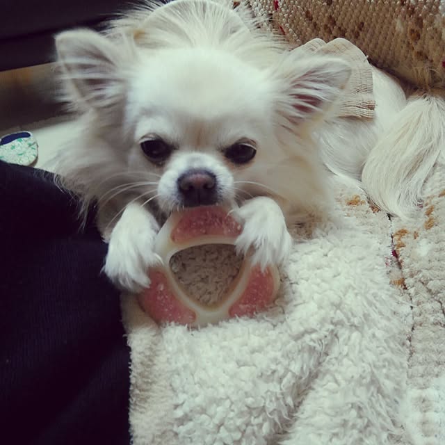okuriさんの実例写真