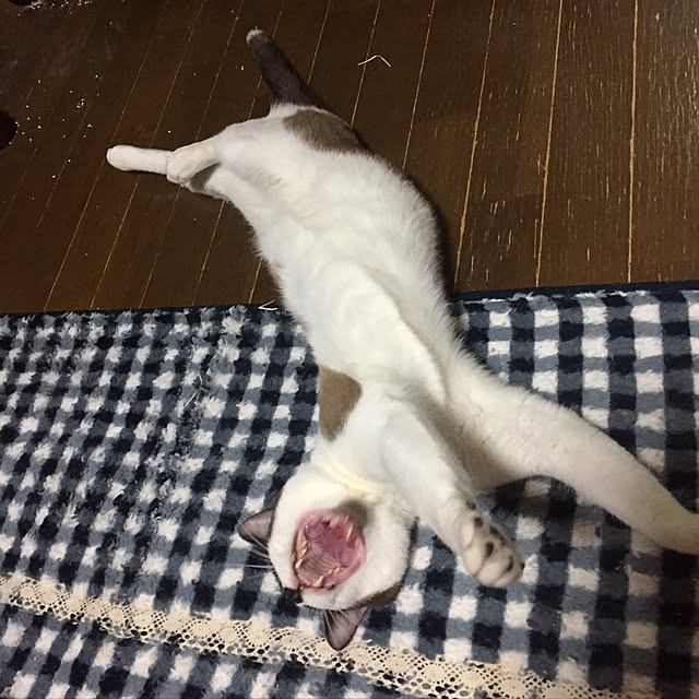 vivienne.coco-keiさんの実例写真
