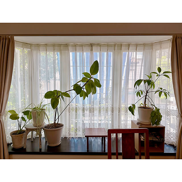 haruisabelさんの部屋