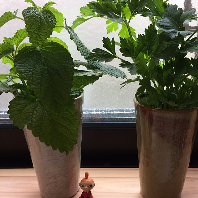 mymomさんの実例写真