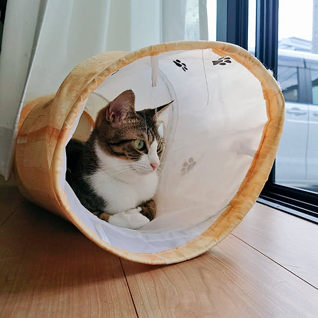 mochicoさんの実例写真