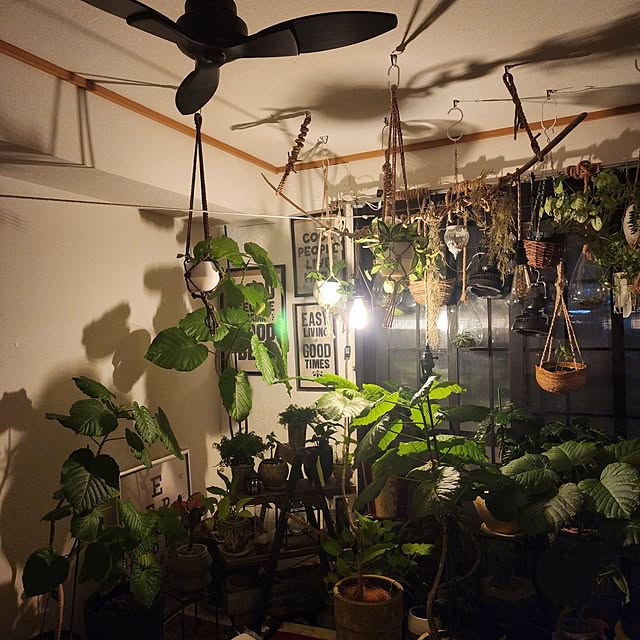 CYNOSさんの実例写真