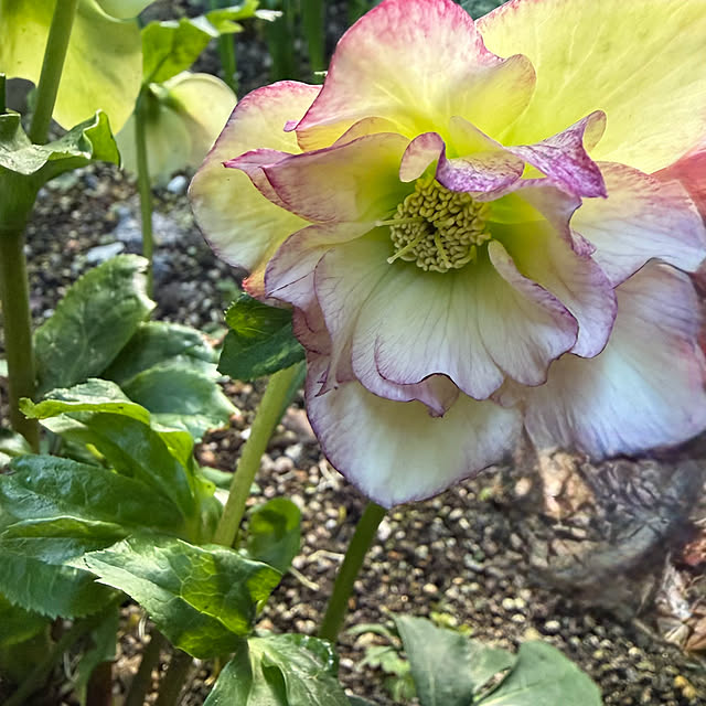 buchiさんの部屋