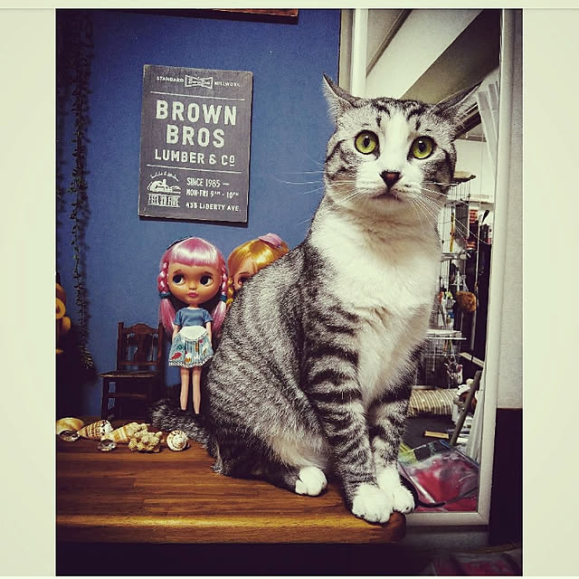 mntcさんの実例写真
