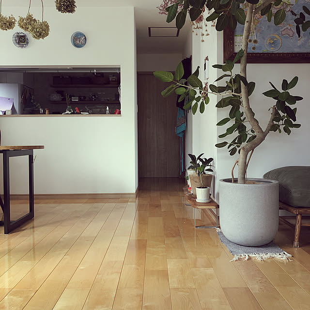 hatsugaさんの実例写真