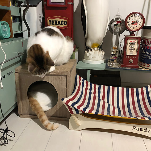 arayanさんの実例写真