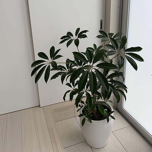 Keikoさんの実例写真