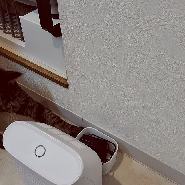 hihaさんの実例写真