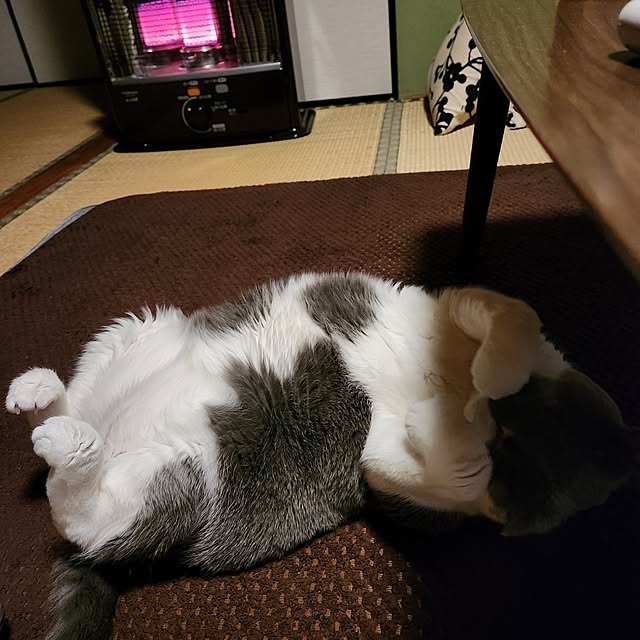rhuさんの部屋