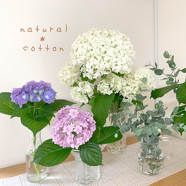 natural_cottonさんの実例写真
