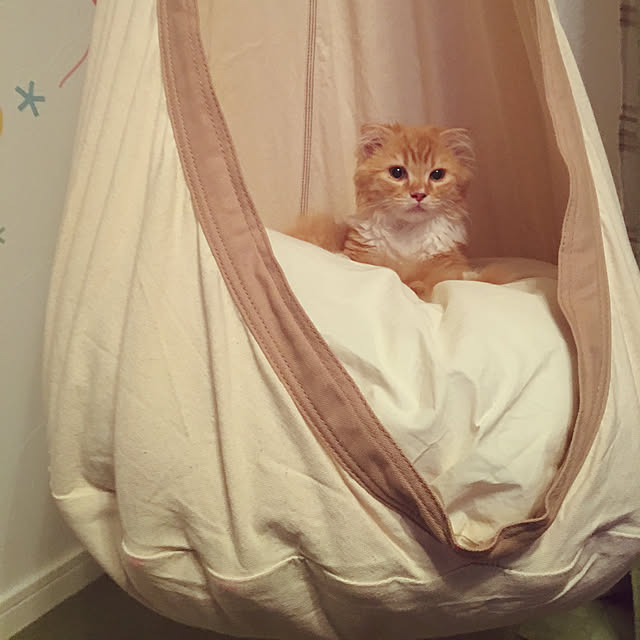 PIYOLANDさんの実例写真
