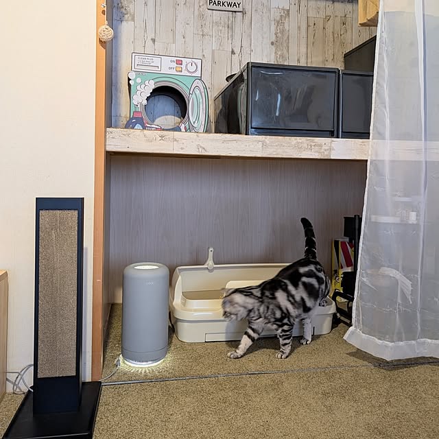 lovepeaceさんの部屋