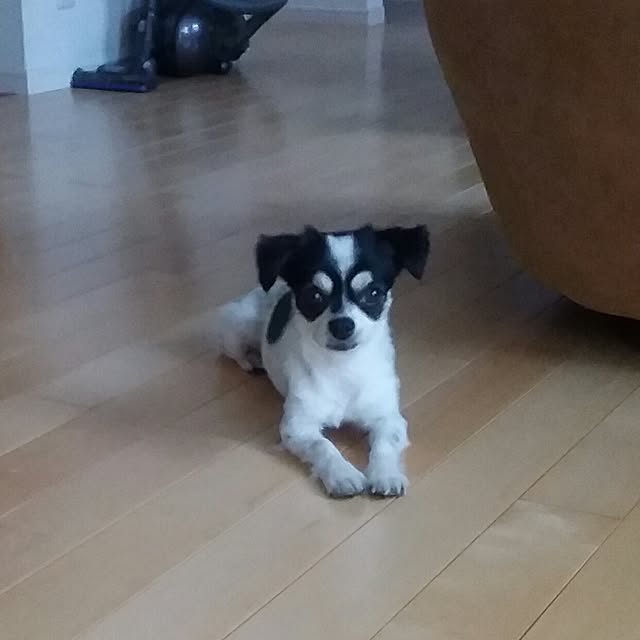 yukkoさんの実例写真