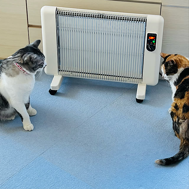 ya_apr_22さんの実例写真