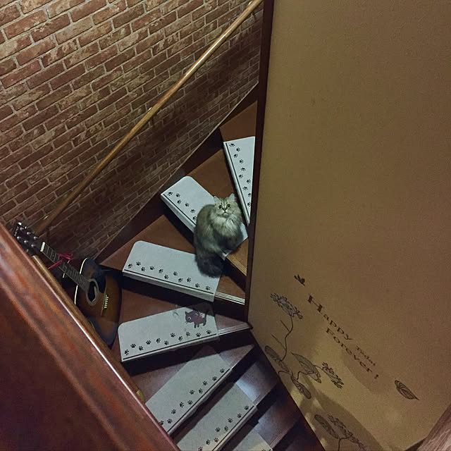 butachanさんの実例写真