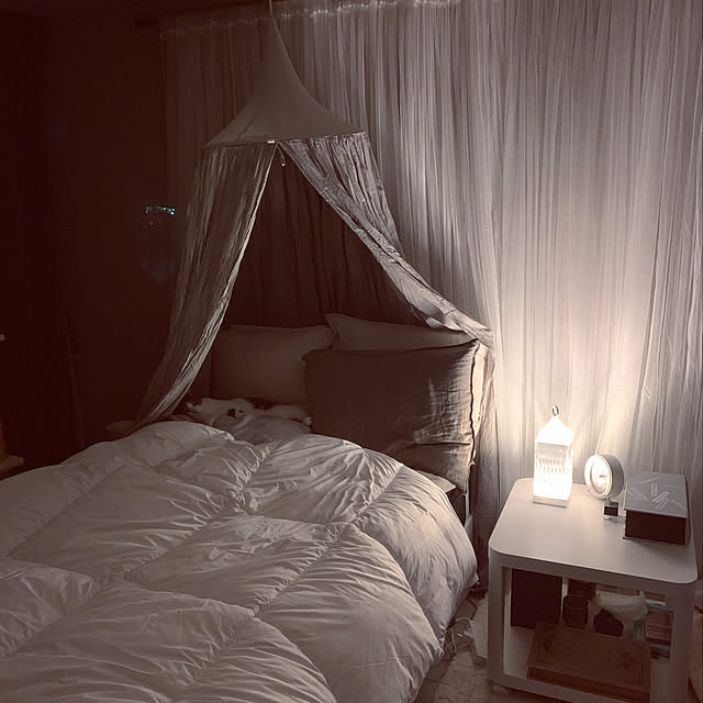 Shihoさんの実例写真