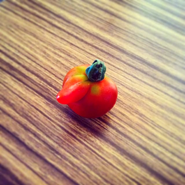 Pieet22さんの実例写真