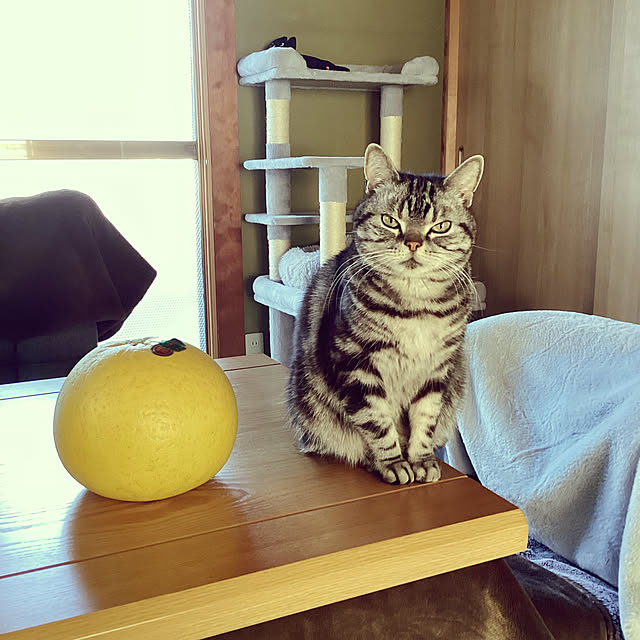 richanさんの実例写真