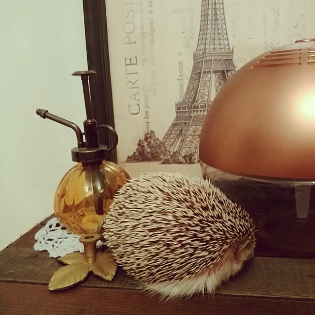 kuruさんの実例写真