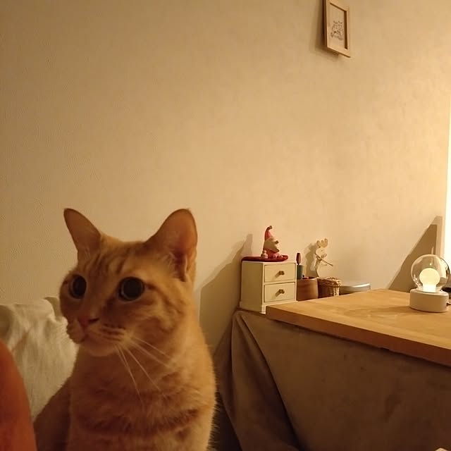 mayutan.さんの部屋