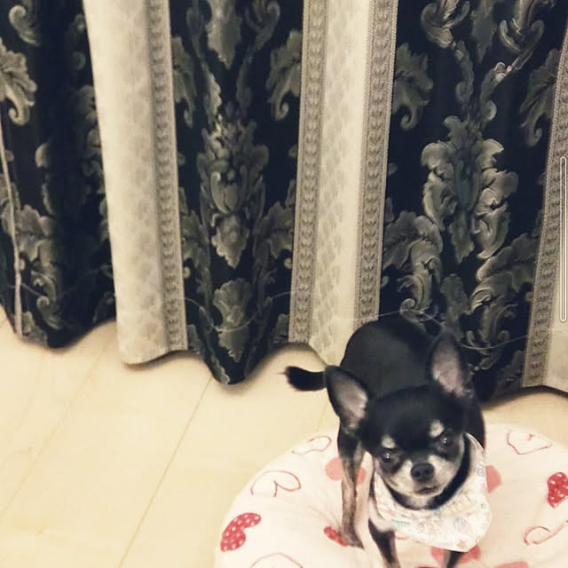 Bienvenueさんの実例写真
