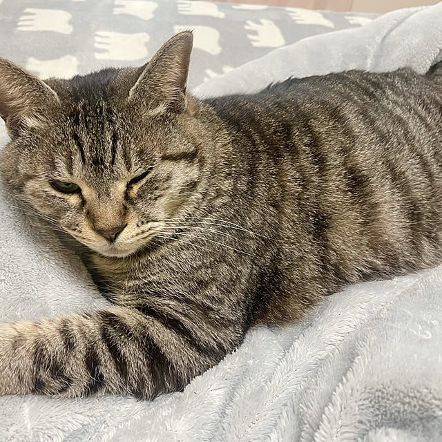 Shinさんの実例写真