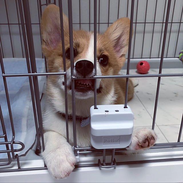 3ayuさんの実例写真