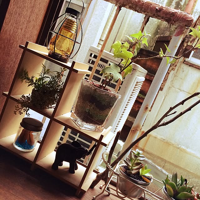 okiyosanさんの実例写真