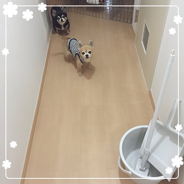 Emiさんの実例写真