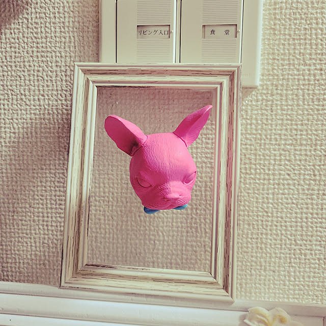 ANTENNAさんの実例写真