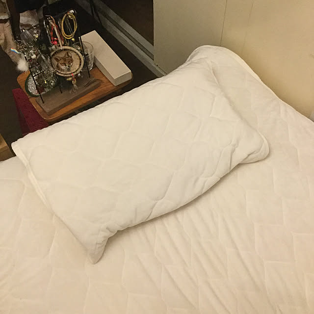 Y.Saさんの実例写真