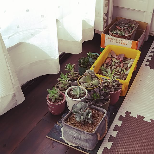 tag-mclarenさんの実例写真