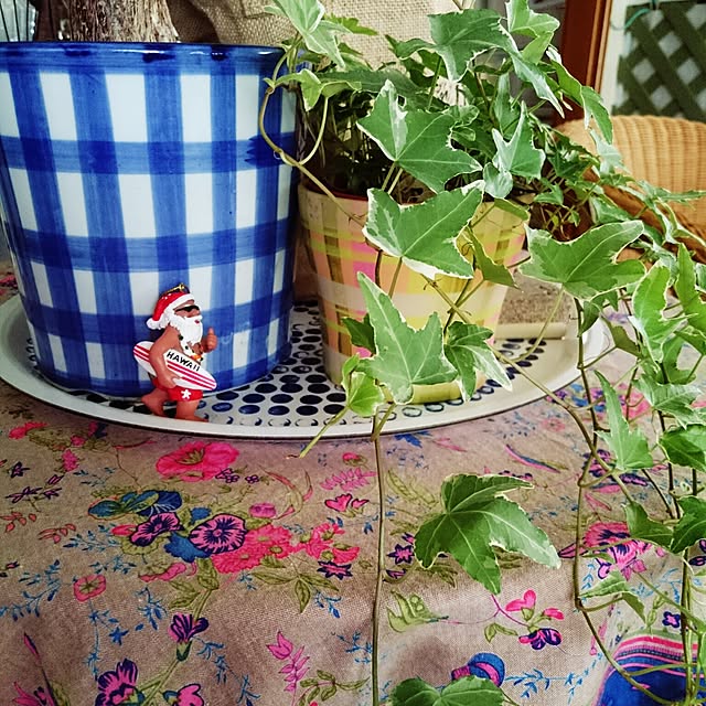 asaさんの実例写真