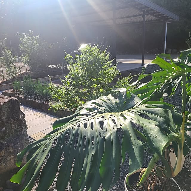 Rubiconさんの部屋