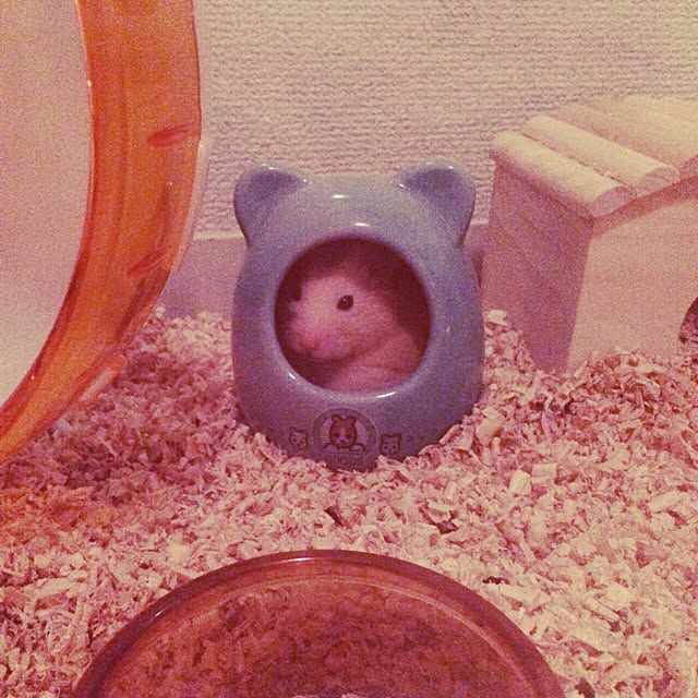 merさんの実例写真