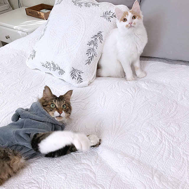yuchiさんの実例写真
