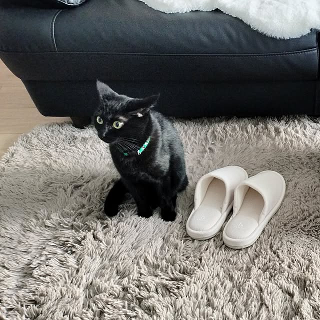 sakuraさんの部屋
