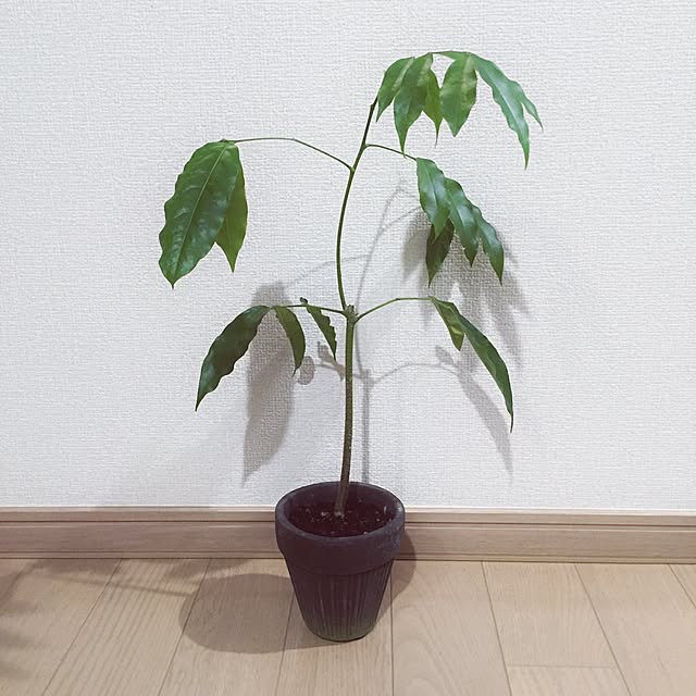 tecrockさんの実例写真
