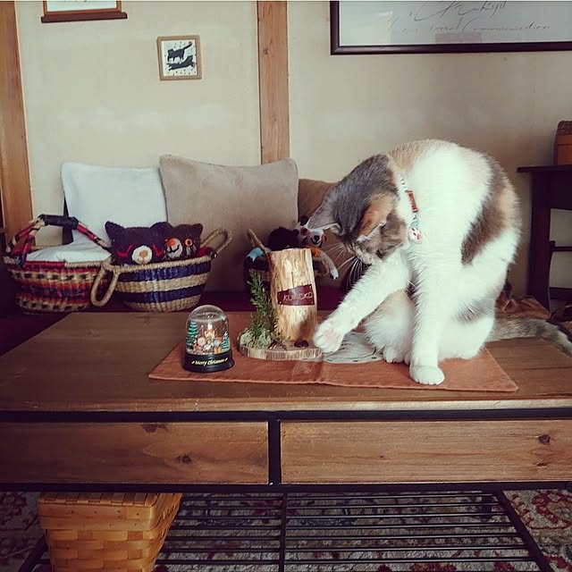 fukuさんの実例写真