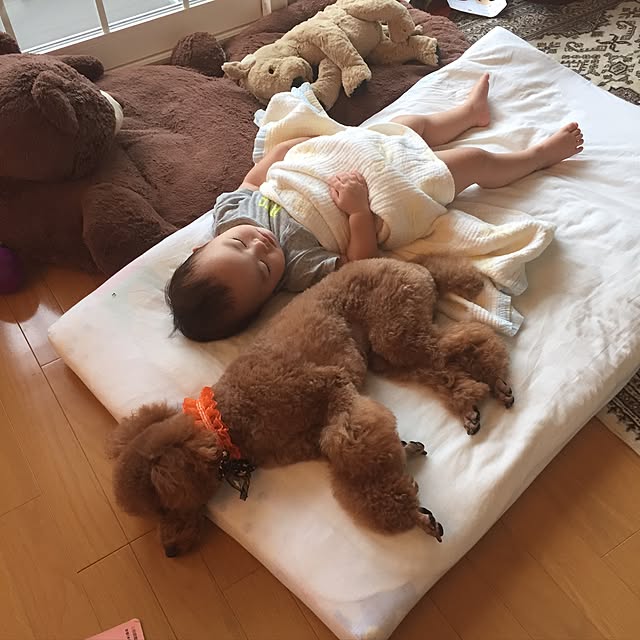 Naomiさんの実例写真