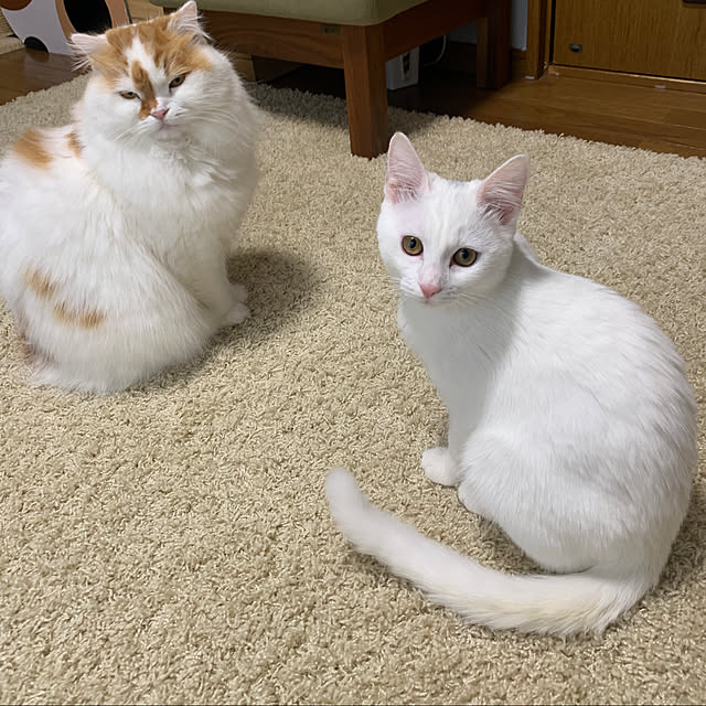 keiさんの実例写真