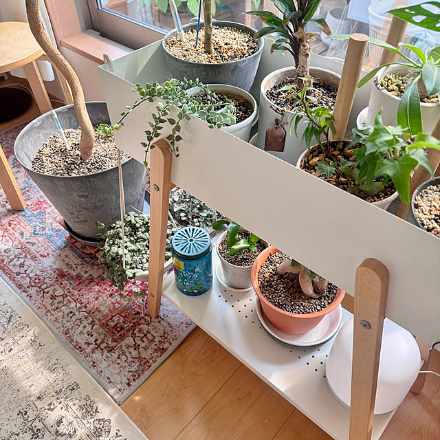 masumiさんの実例写真