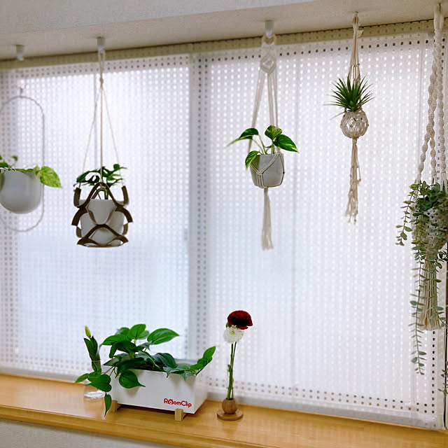 sunabaさんの部屋