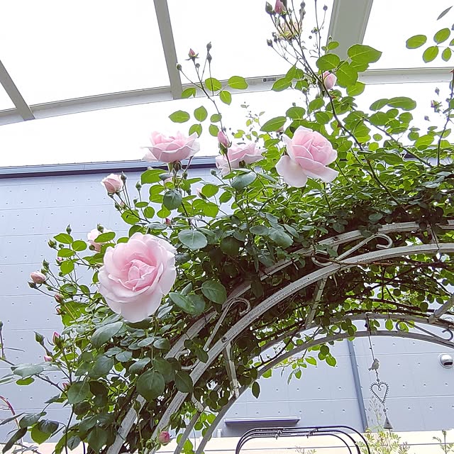 Bienvenueさんの実例写真
